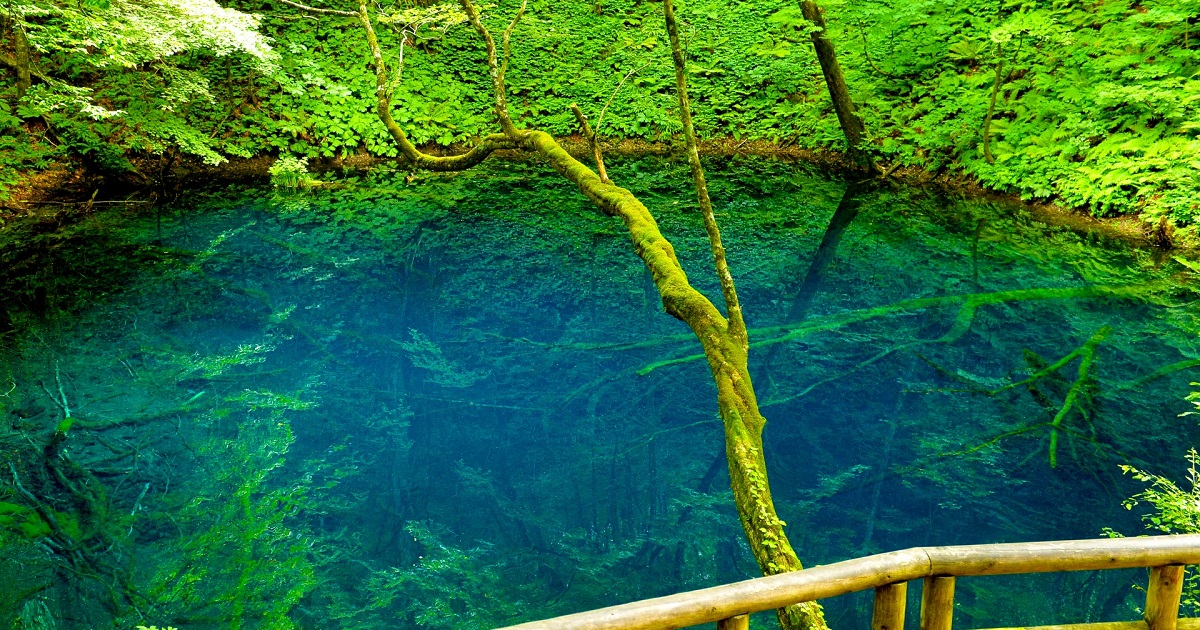 Mysterious Cobalt Blue Water Surface “Aoike”│Aomori Japan | 謎のツーリング組織