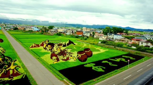 Rice field art: The fusion of nature and art, the charm of Inakadate ...