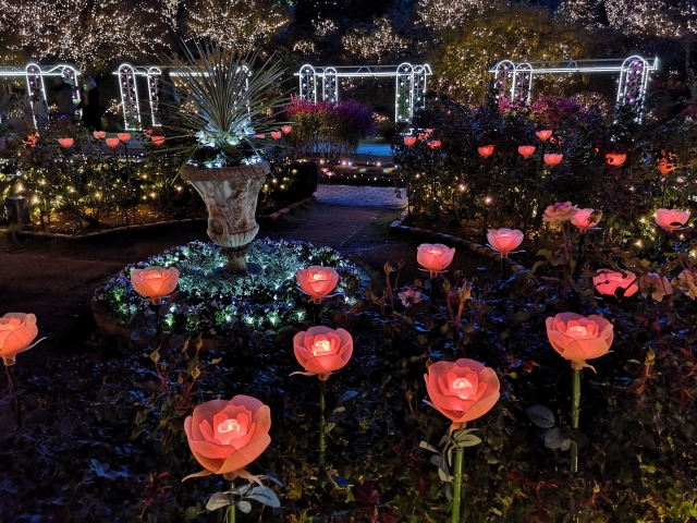 あしかがフラワーパーク　光の花の庭